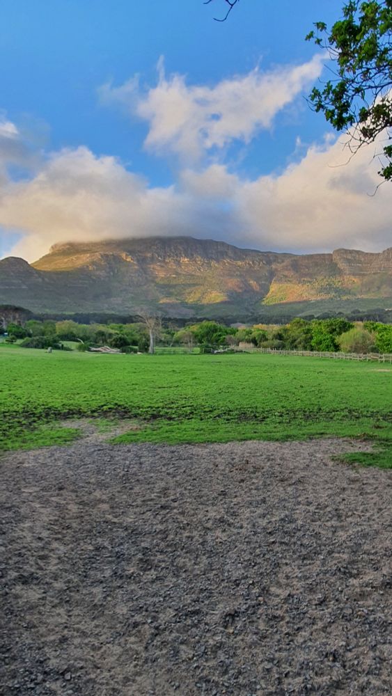 A well-trodden meadow with a mountain and a partly cloudy sky in the background