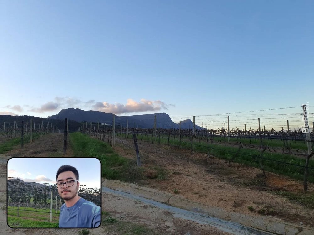 A photo of Table Mountain and Devil's Peak from the south with a vineyard in the foreground, and a selfie in the corner
