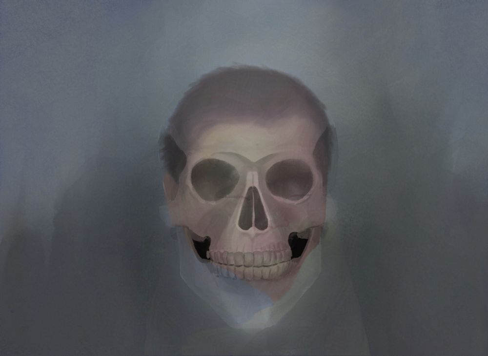 The same skull in the previous illustration is superimposed with another illustration. The skull is seen clearer than the illustration.
