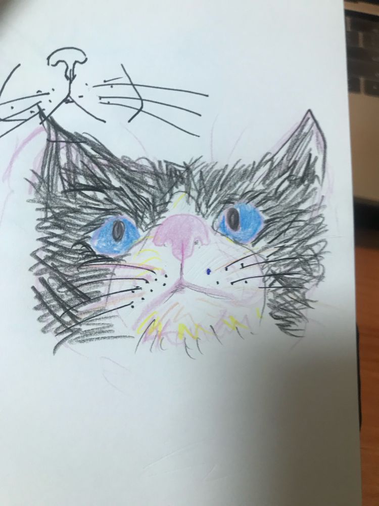 A doodle of a tuxedo cat’s face