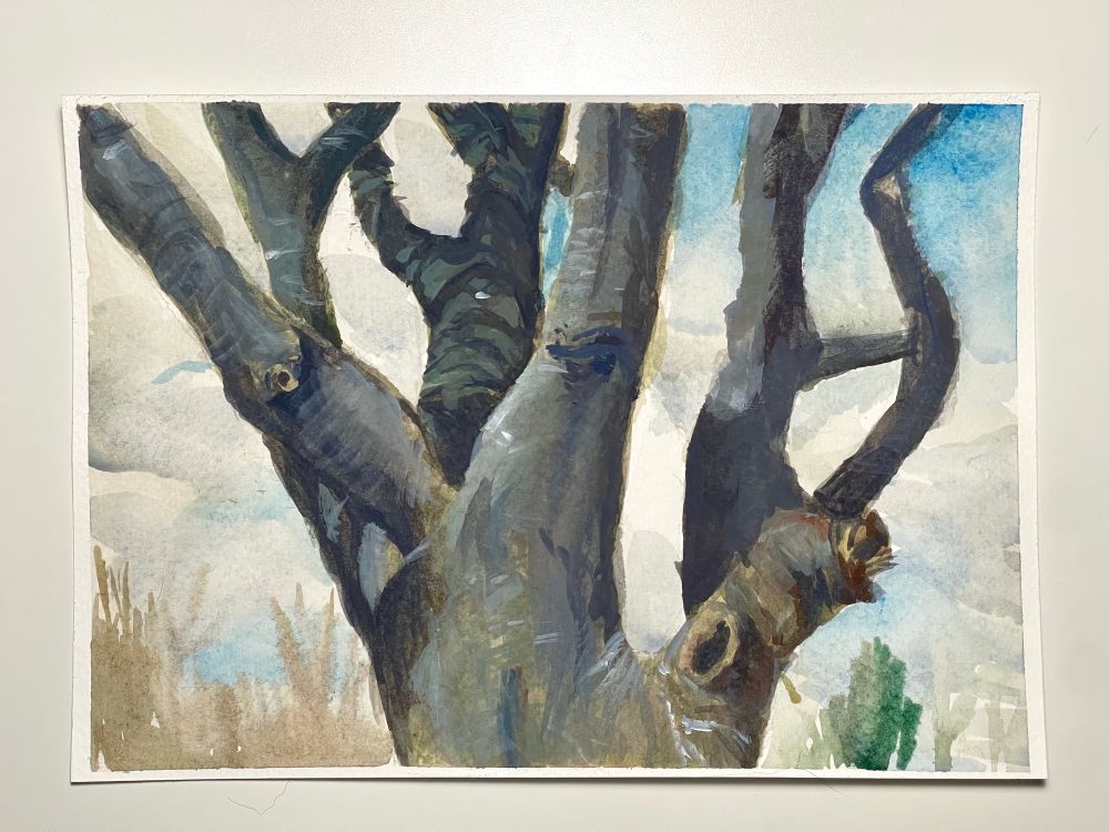 A gouache painting of a tre trunk against a cloudy sku as a backdrop. 