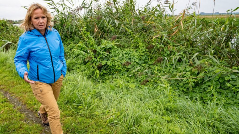 Umweltministerium Steffi Lemke übergibt Förderbescheid: 28 Millionen Euro für Moorklimaschutz an der Ostseeküste