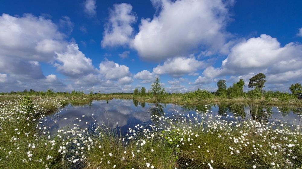 EU-Gesetz zur Wiederherstellung der Natur: Ein Startschuss für den Wandel