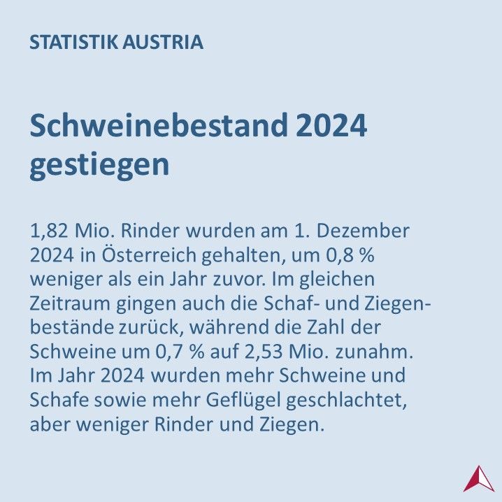 Schweinebestand 2024 gestiegen: 1,82 Mio. Rinder wurden laut Statistik Austria am Stichtag 1. Dezember 2024 in Österreich gehalten, um 0,8 % weniger als ein Jahr zuvor. Im gleichen Zeitraum gingen auch die Schaf- und Ziegenbestände zurück, während die Zahl der Schweine um 0,7 % auf 2,53 Mio. zunahm.