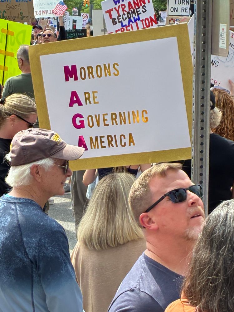 MAGA: Morons Are Governing America