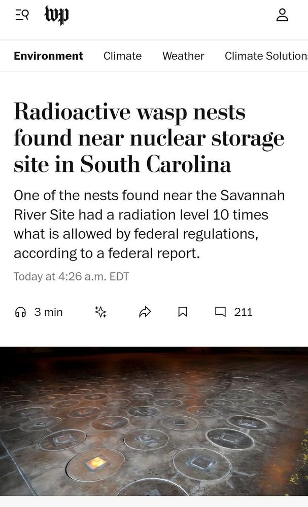 Newspaper with headline about radioactive wasp nests found in SC