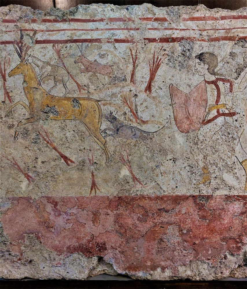 Part of a fresco painted on a stone and plastered slab used as part of a grave, prepared and painted insitu below ground.
At the bottom a deep border in faded red, and at the top three lines - thick, thin, thick - in deep red, serve as an upper border. 
The scene between, on a white background, shows a large gold coloured stag leaping away from a naked hunter with a light red shield and gold boots. He has long dark hair pulled to the nape of his neck. Some sort of red strapping fits around his neck and below waist, perhaps holding eg arrows/supporting the shield.
A grey dog in front of the hunter is nipping at the rear of the deer. Two other deer, a stag and a doe are in the background, among a forest of stylised trees or shrubs.