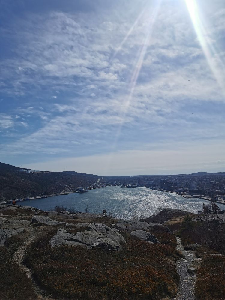 View of St John's harbor 