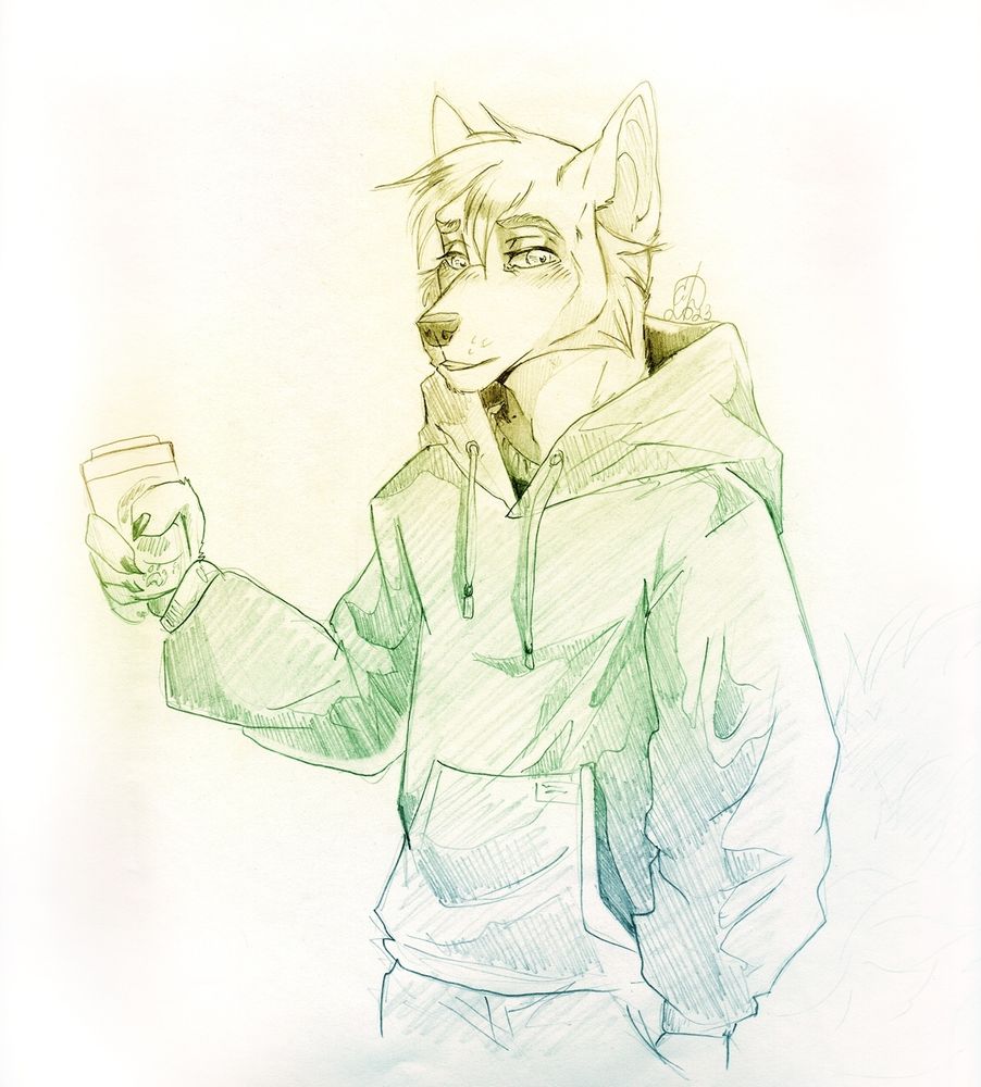 Yellow coyote sketch