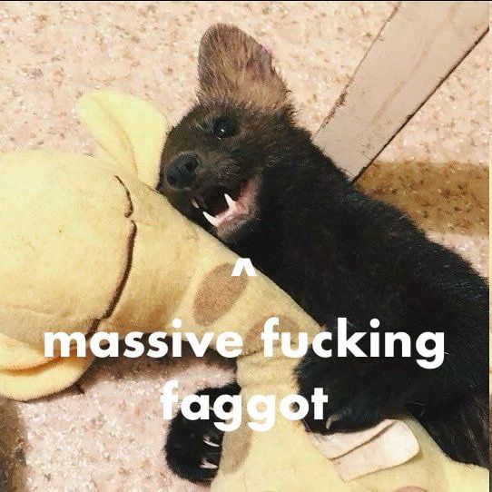 a photo of a sable marten snuggling a plush with a caption pointing to them reading "massive fucking faggot"