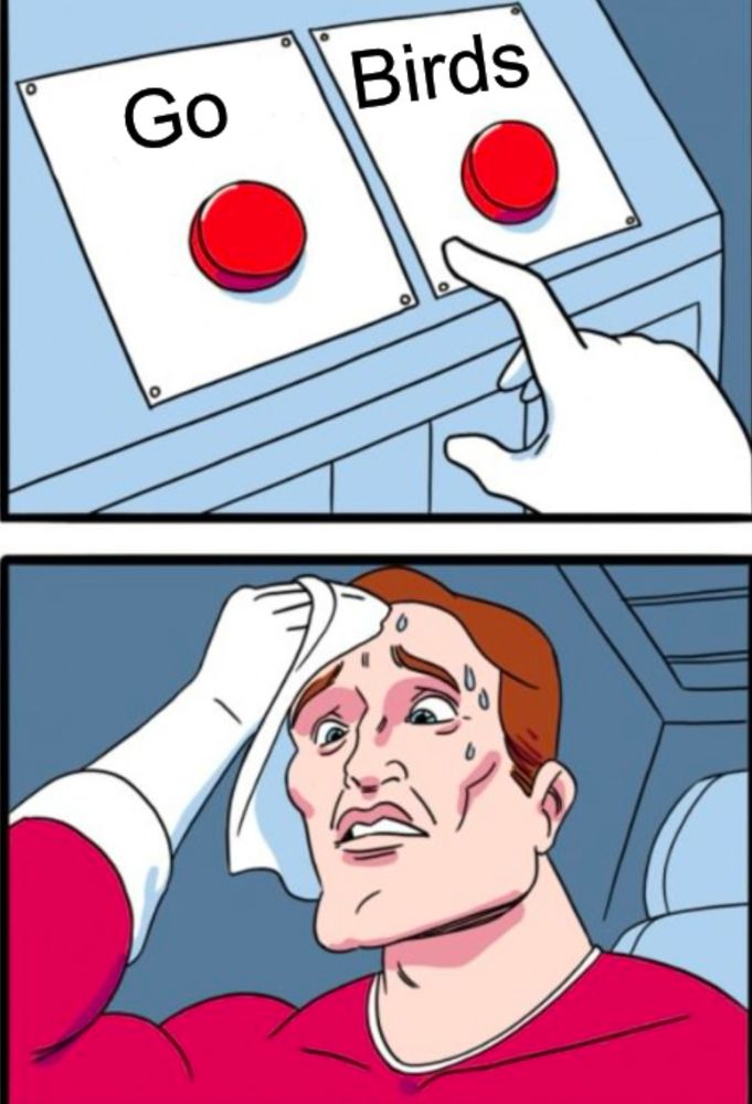 Go Birds