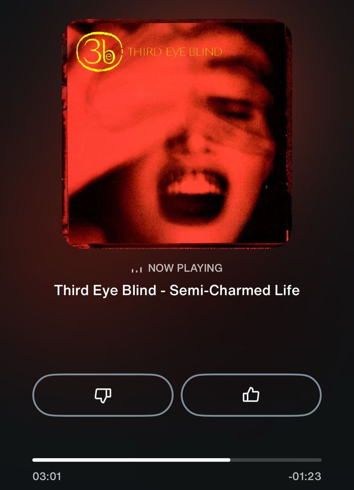 Semi-Charmed Life, Third Eye Blind 