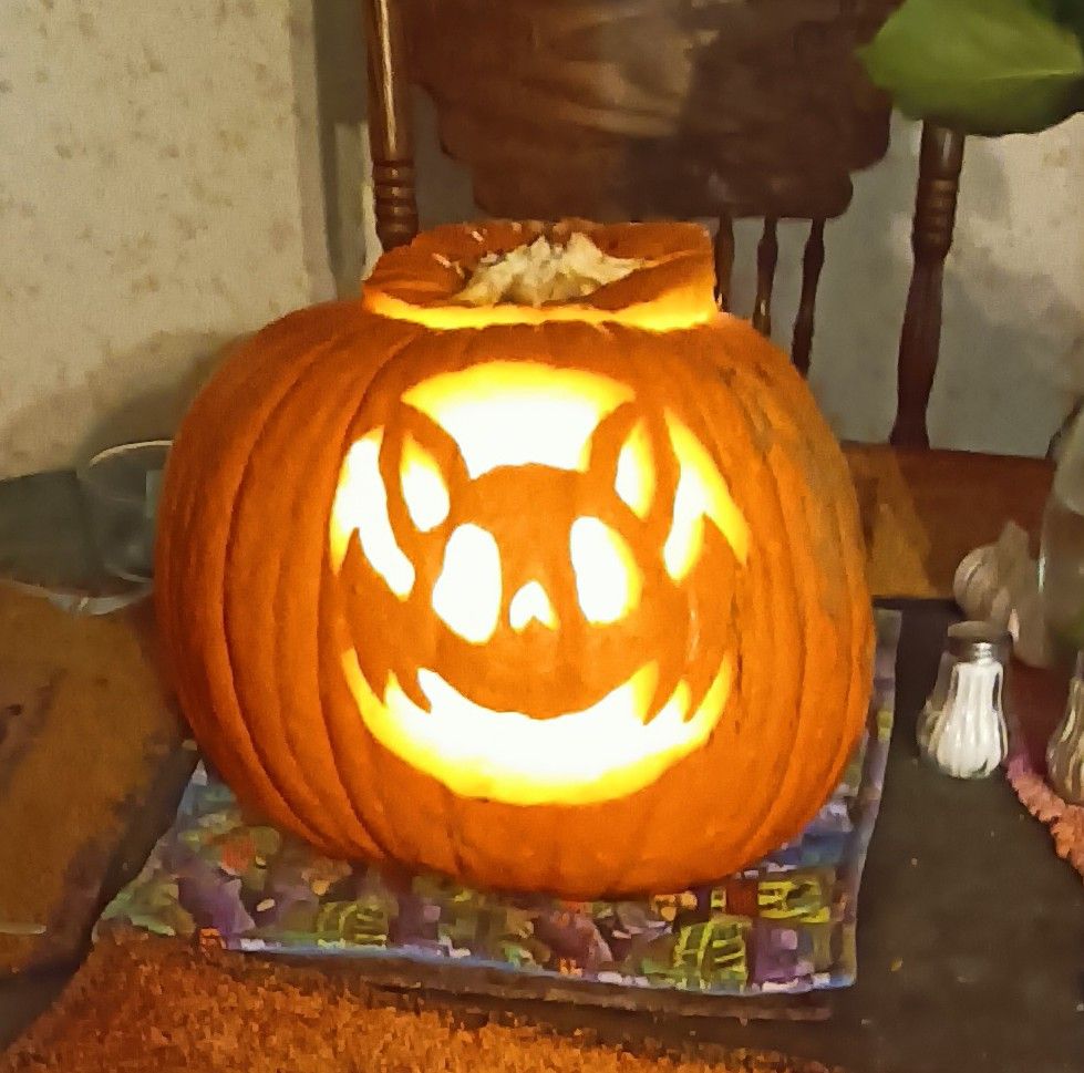Basic bat carved into a pumpkin 