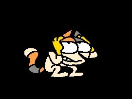 Irish the Cat tumbling