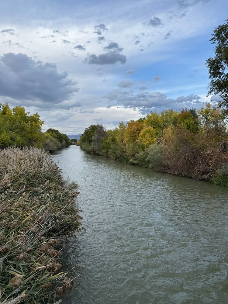 A river flows full and greenish with trees turning autumn colors on either side and rushes in the foreground, under a sweep of clouds with a little blue peeking through 