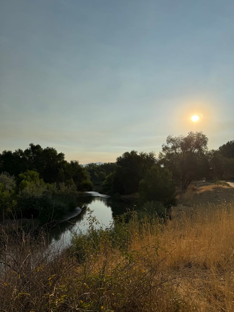 A calm river with grasses and trees on its banks, seen under a smoky sky with the sun peering through the haze