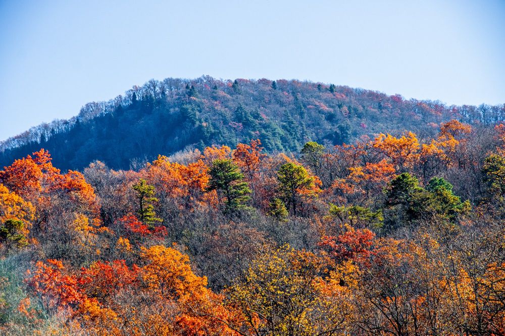 Two mountain ridgelines, the further away mountain is tinged blue, while the closer mountain is covered in pops of orange, red, gold, and green.