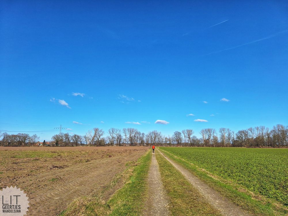 Blauer Himmel mit sehr kleinen Wolken über einer Baumreihe. Eine Person mit rotem Oberteil ist auf dem Feldweg in weiter Ferne zu sehen. Links uns recht des Weges braune und grüne Äcker.