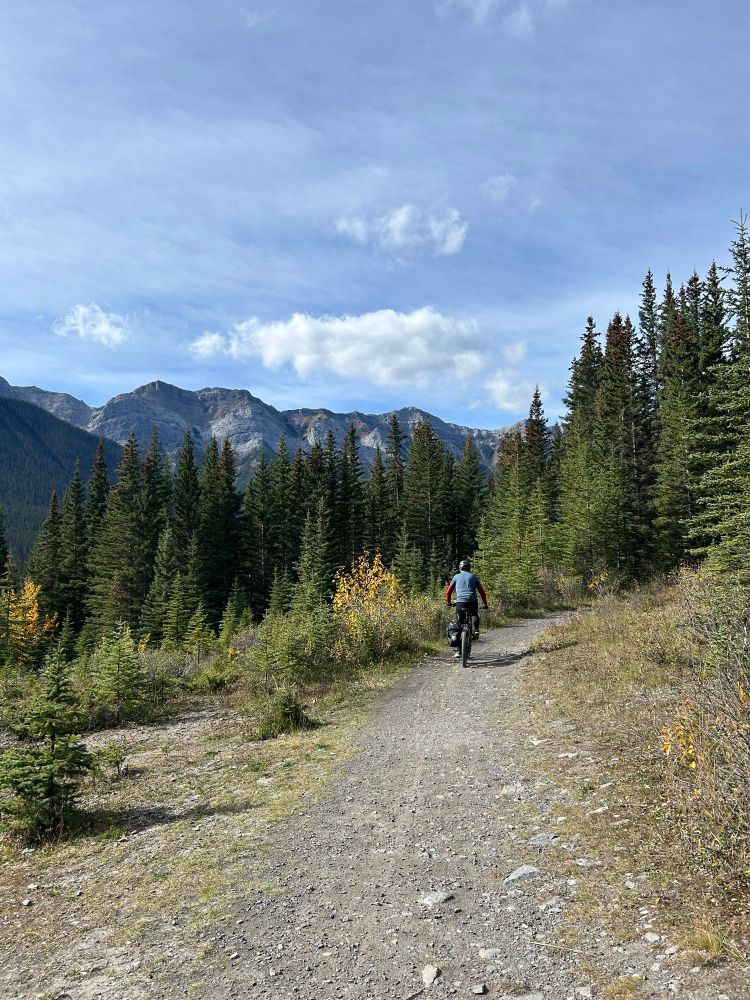 Cyclist riding the Goat Creek Trail, Alberta.