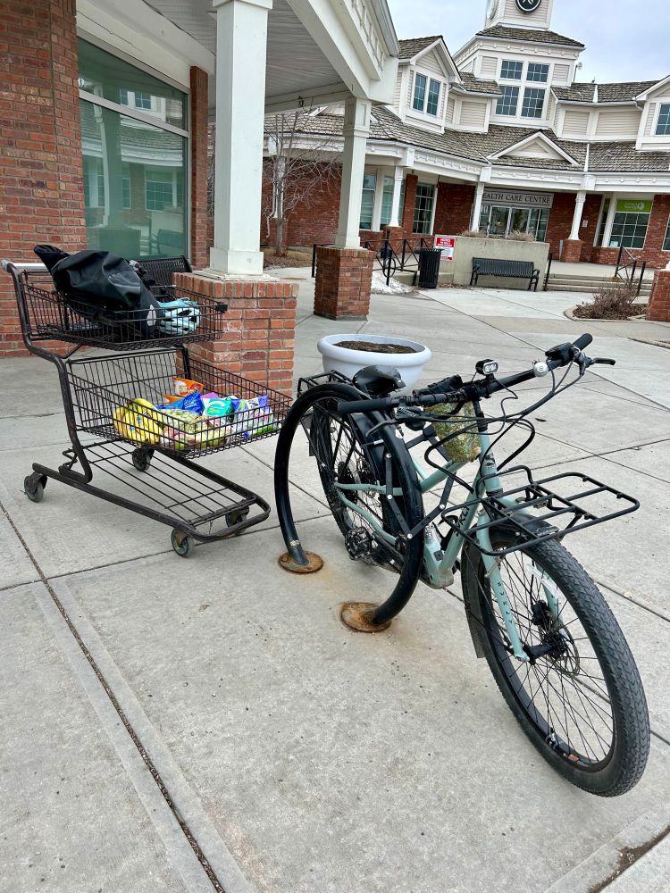 Grocery cart, groceries and a Surly Skidloader ECargobike.