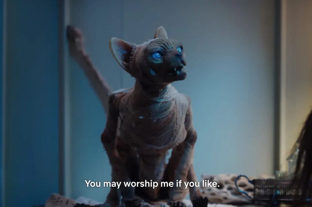 A still image of the tv series The Curious Creations of Christine McConnell character Rankle, a sphinx breed cat, with the caption, "You may worship me if you like."