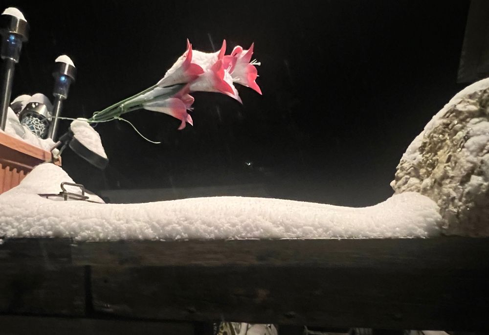 Snow on the wooden railing outside my house. Also, outdoor lights & a rose quartz.