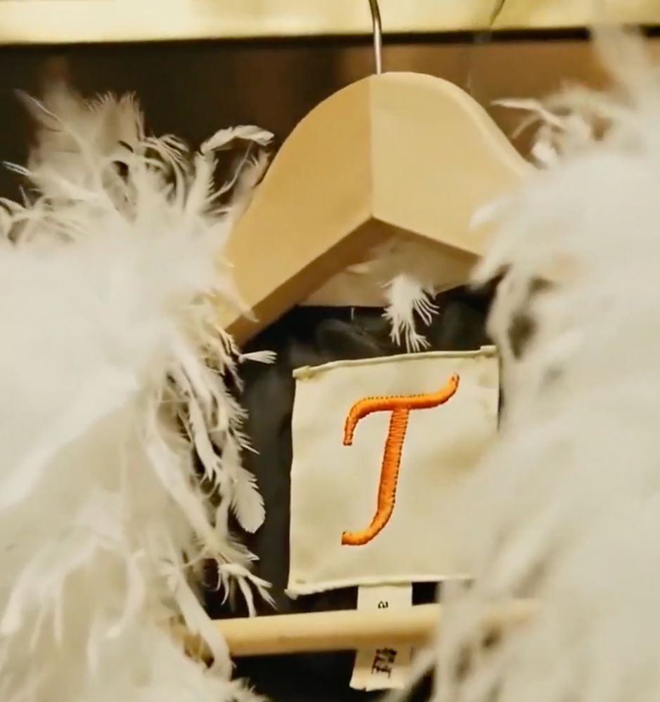Screenshot of Taylor Swift AI promo video.

Close up view of a white feathery top on a light color wood hanger with a large square neck tag that shows the letter T in a stitched orange cursive font. Below it is a small hanging tag, partially obstructed by the bottom bar of the hanger, where it would normally have more info about the clothing, instead it has AI gibberish writing. Also on the top right next to the metal hook is a second metal hook in the process of disappearing completely. The video makes it clear that there was an empty hanger there but as the video zooms in, it disappears.