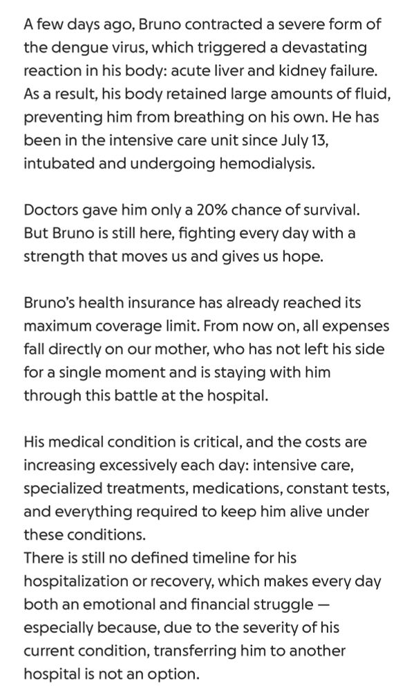 A few days ago, Bruno contracted a severe form of the dengue virus, which triggered a devastating reaction in his body: acute liver and kidney failure.
As a result, his body retained large amounts of fluid, preventing him from breathing on his own. He has been in the intensive care unit since July 13, intubated and undergoing hemodialysis.
Doctors gave him only a 20% chance of survival.
But Bruno is still here, fighting every day with a strength that moves us and gives us hope.
Bruno's health insurance has already reached its maximum coverage limit. From now on, all expenses fall directly on our mother, who has not left his side for a single moment and is staying with him through this battle at the hospital.
His medical condition is critical, and the costs are increasing excessively each day: intensive care, specialized treatments, medications, constant tests, and everything required to keep him alive under these conditions.
There is still no defined timeline for his
hospitalization or recovery, which makes every day both an emotional and financial struggle - especially because, due to the severity of his current condition, transferring him to another hospital is not an option.

