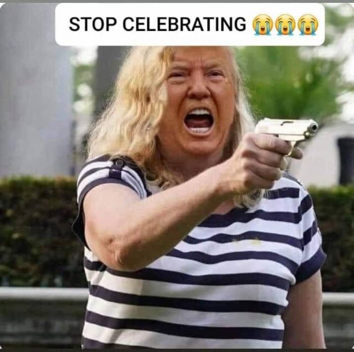 Trump's face photoshopped onto that rich white lady with a mustard stain on her shirt who came out of her house with a gun because she was scared of protesters 