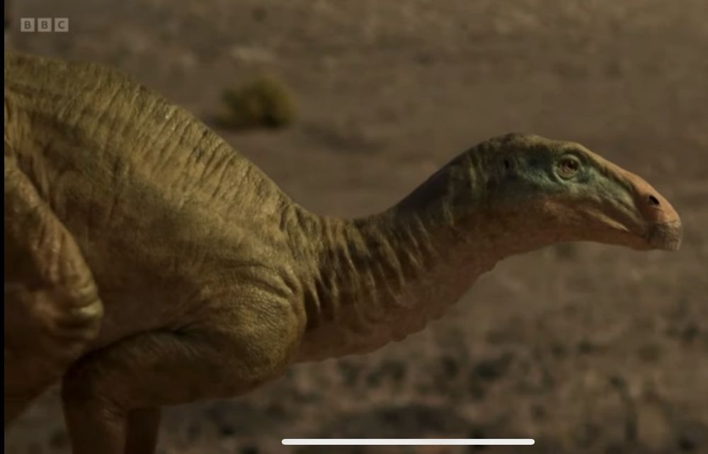 Planicoxa from Walking With Dinosaurs