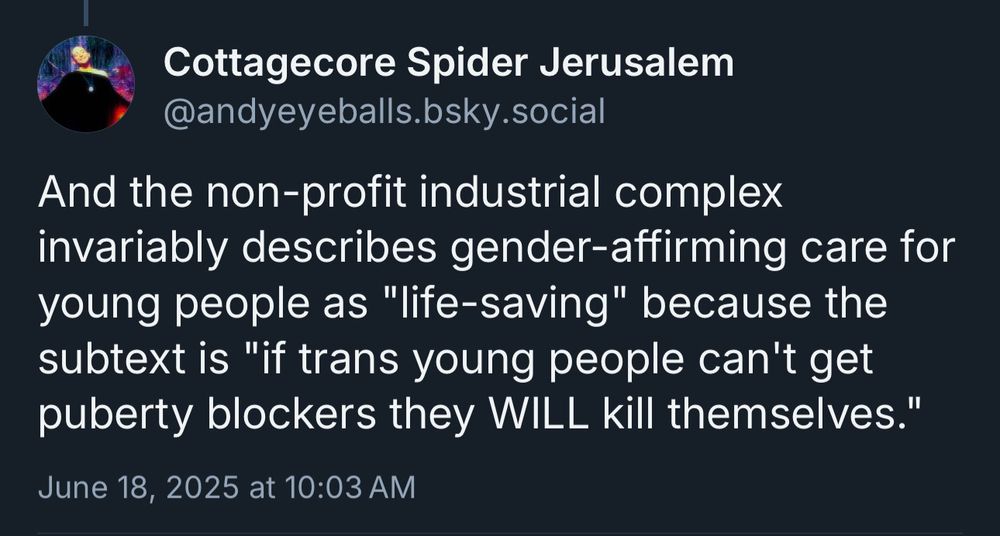 Cottagecore Spider Jerusalem @andyeyeballs.bsky.social
And the non-profit industrial complex invariably describes gender-affirming care for young people as "life-saving" because the subtext is "if trans young people can't get puberty blockers they WILL kill themselves."
June 18, 2025 at 10:03 AM