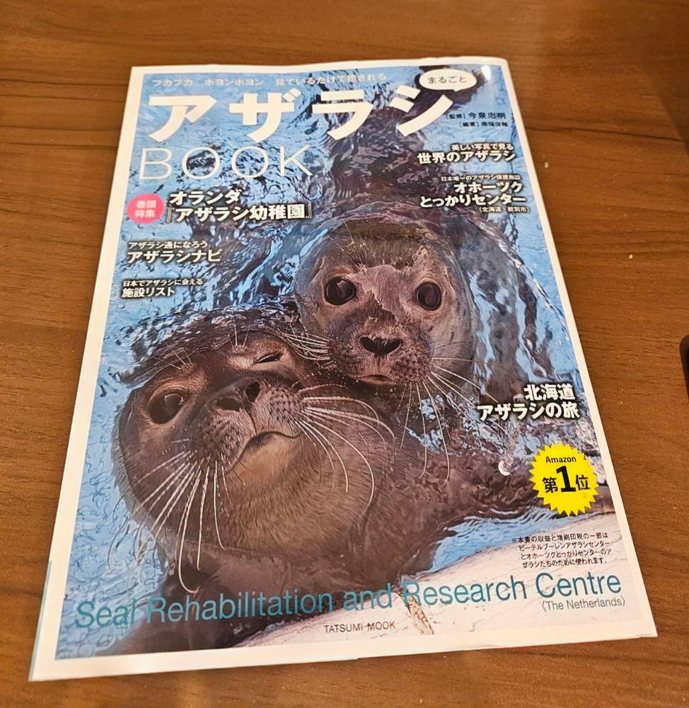 seal azarashi love book🦭