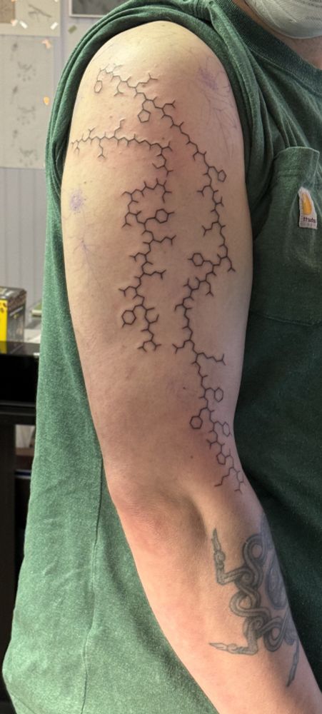 Photo of my left arm and shoulder in a mirror with a brand new (albeit incomplete) tattoo of a carbon skeleton representation of an insulin molecule.