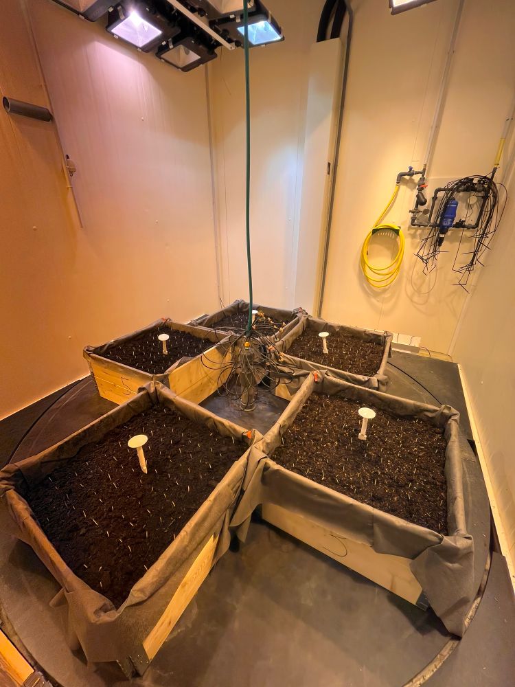 Experiments under controlled light, are and water to unveil pulse and press climate change effects
