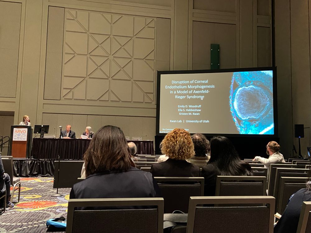 Emily Woodruff giving her talk at #ARVO2025
