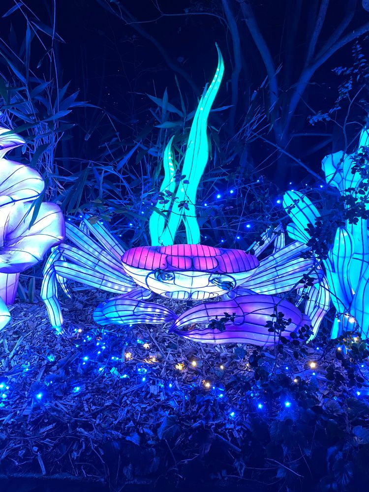 I would like to welcome our giant luminous crab overlords 