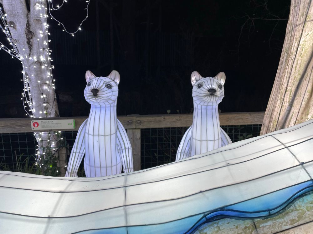 Two polar meerkat thingys