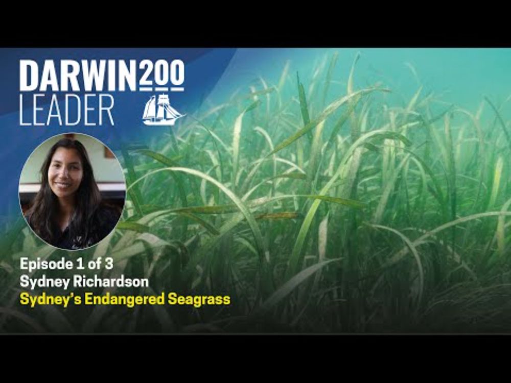 Sydney's Endangered Seagrass -by Sydney Richardson - Episode 1