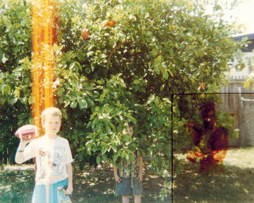 hulk hogan superimposed on photo of two kids around an orange tree in a backyard in florida