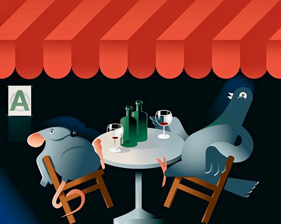 Pigeon and rat at a cafe

©️John W. Tomac