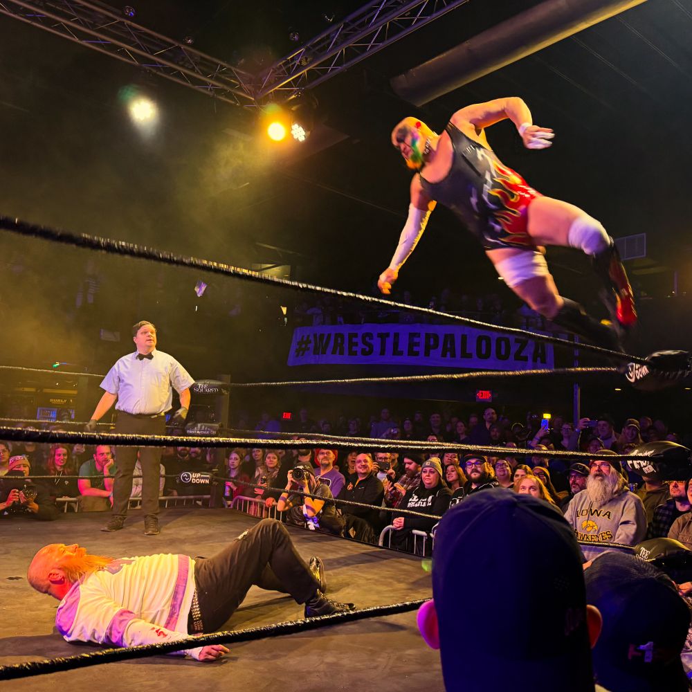 Wrestling match. There's a fella flying from the top rope with a rainbow beard about to lay a goddamn haymaker on a bald bearded dude laying on the mat. It's perfect. It's art.