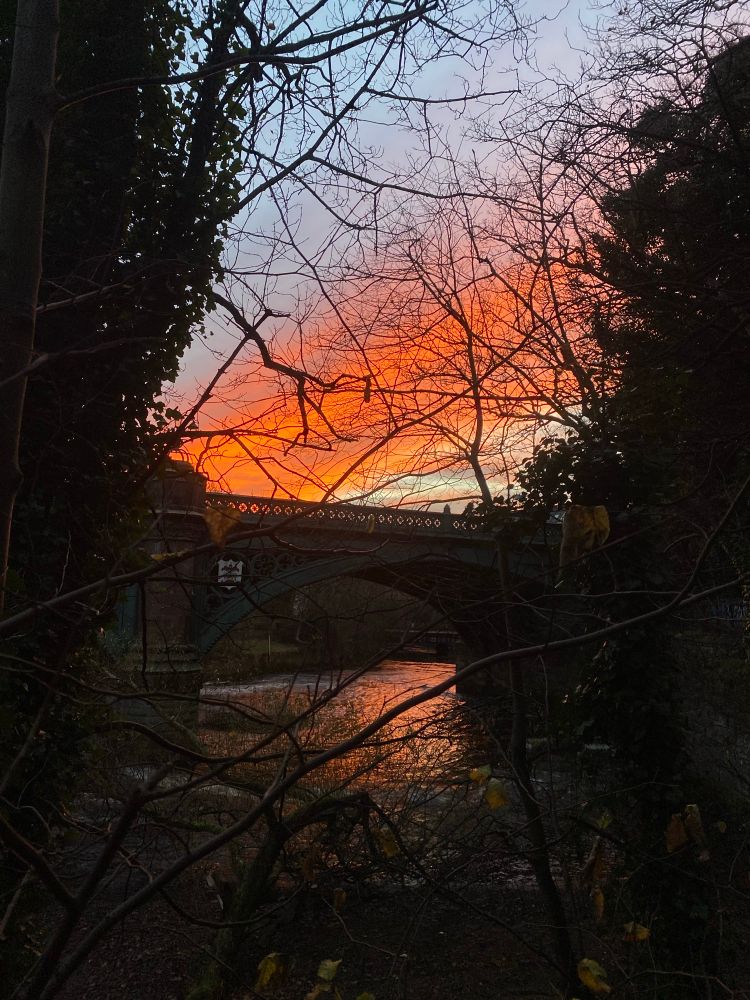 Amazing red crimson and turquoise blue sky with a bridge and trees forming a contrasting black foreground 