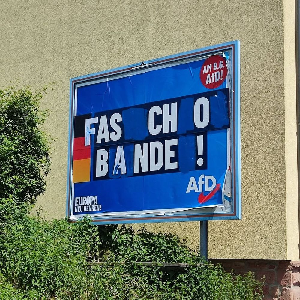 Ein verändertes AfD-Wahlplakat. Statt des eigentlichen Slogans steht dort nun: Fascho-Bande!