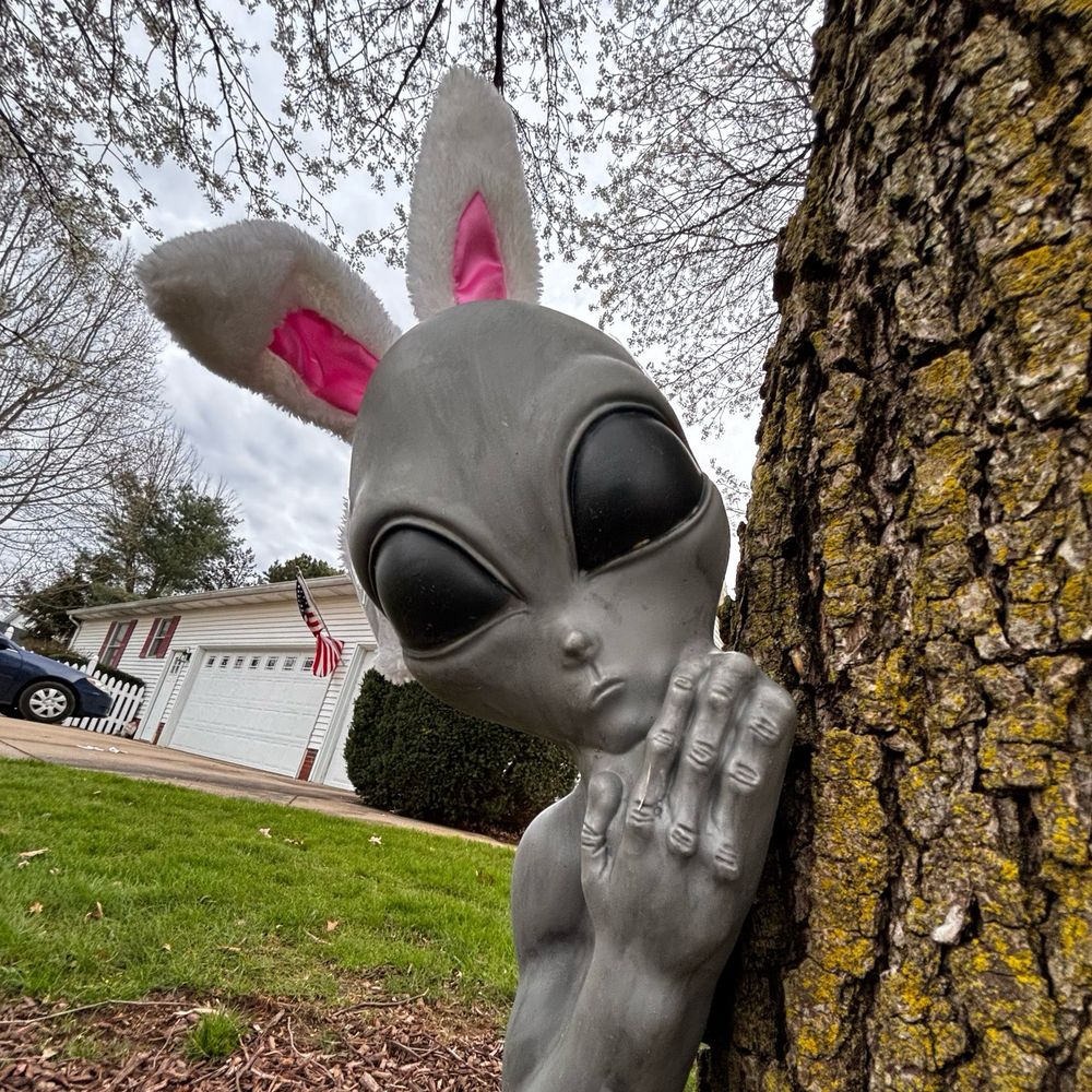 A grey alien figure with bunny ears peeking from behind a tree. 