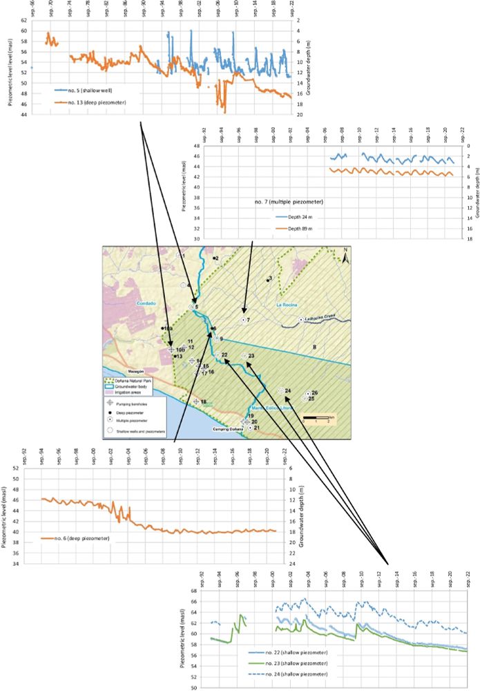 Evolution of piezometric level and groundwater depth at some monitoring points located near the main abstraction zone 
(masl: meters above sea level)