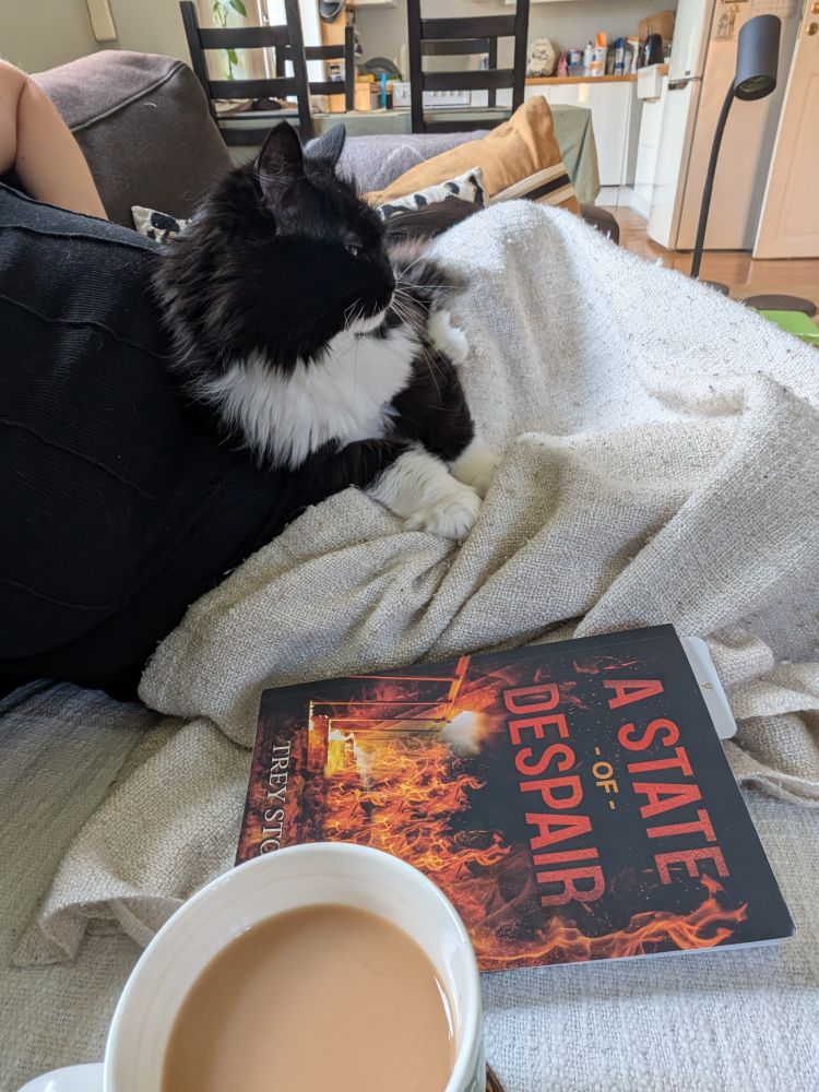 Maud, a black and white cat, lying sleepy on her humans laps. Beside her the book A state of despair by Trey Stone and a cup of tea 