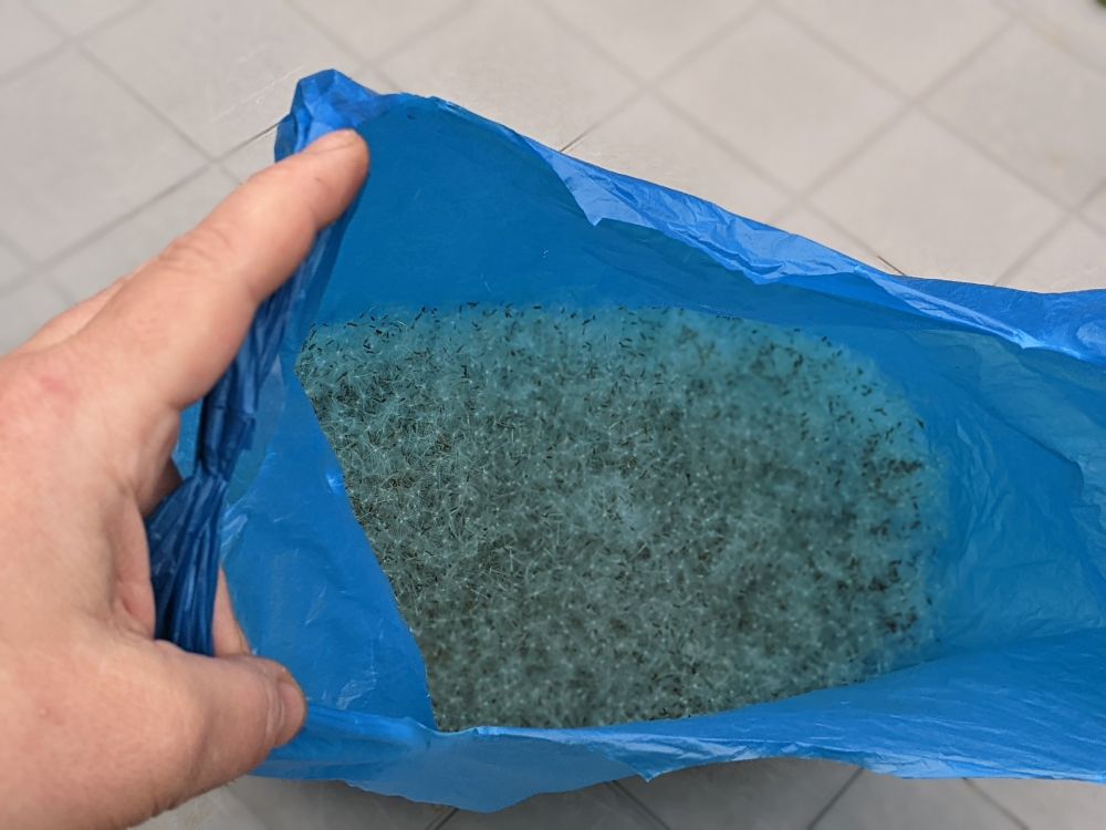 carrier bag full of dandelion seeds, which will be spread through Birmingham, along paths and open spaces
this happens several times a year 