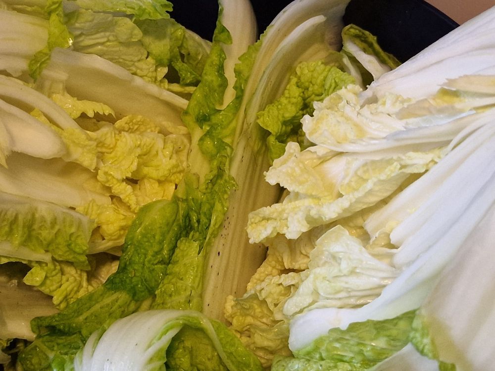 puolikkaita kiinankaaleja suolautumassa kulhossa