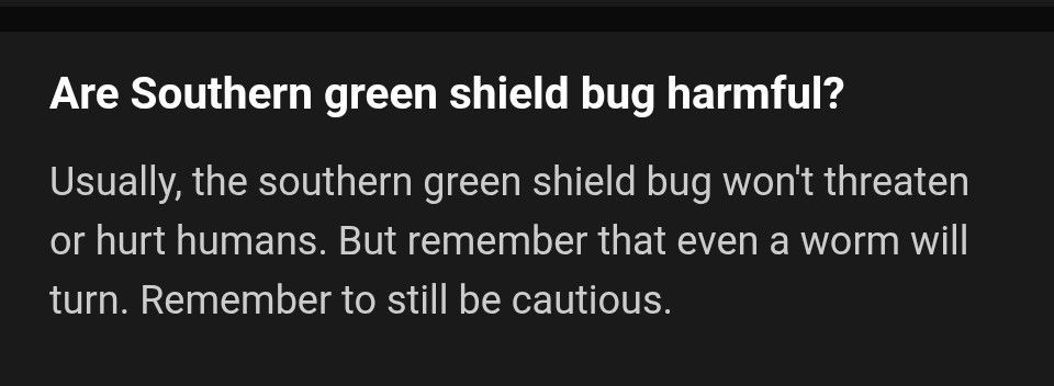 Screenshot from an app with the quote, "remember that even a worm will turn".