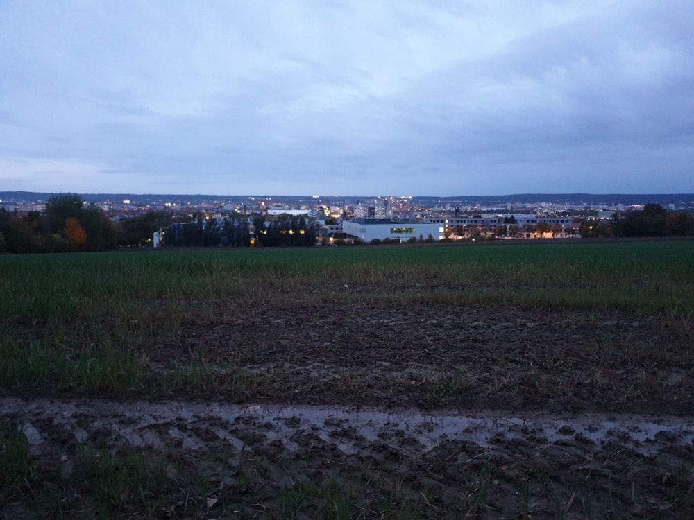 Blick von der Südhöhe über Dresden am Abend.